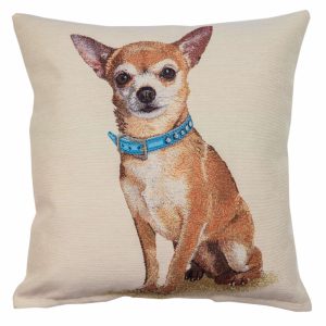 Pagalvės užvalkalas Chihuahua su mėlynu antkakliu