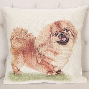 Vienpusis pagalvės užvalkalas Pekinas