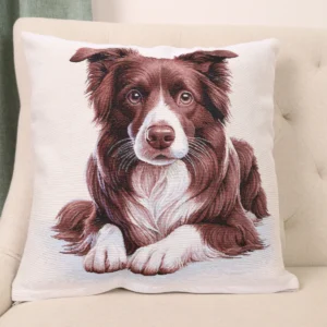 Dvipusis pagalvės užvalkalas Rudas borderkolis