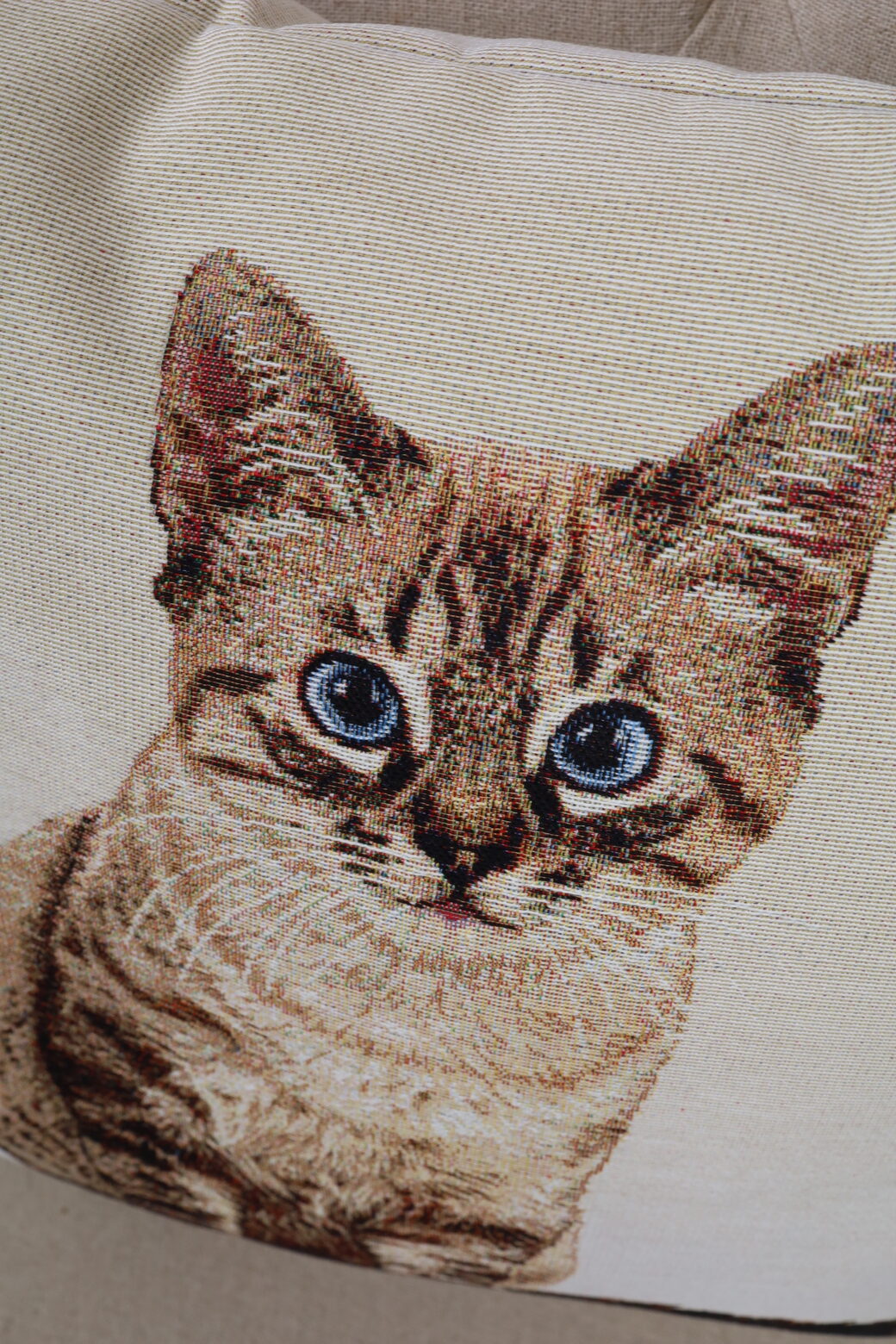 Dvipusis pagalvės užvalkalas Katinėlis Rudis - Image 4